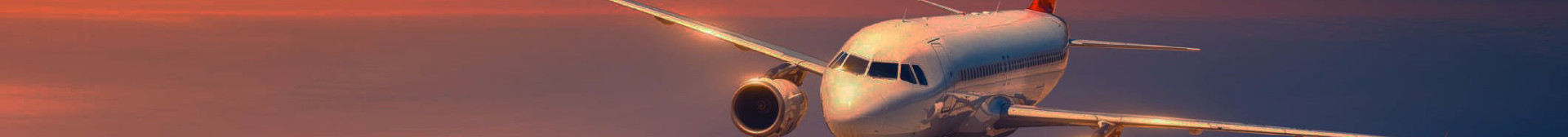 Flight API Integration