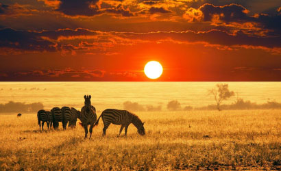 TravelCarma inks contract with one of the leading destination agents in Africa
